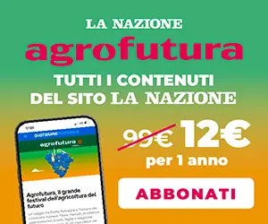 Autopromo