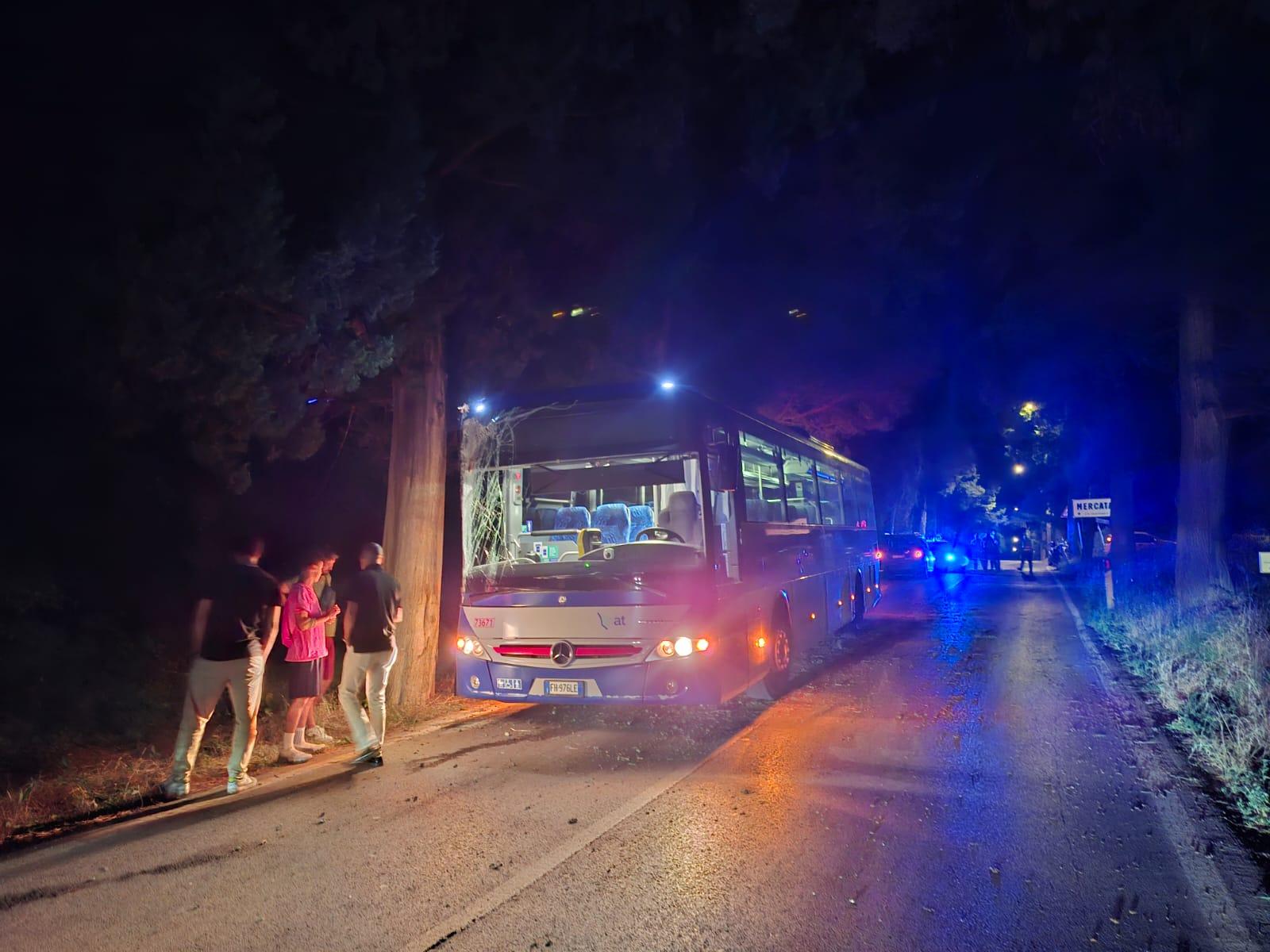 Mercatale, bus finisce contro un albero: ferito l’autista Mercatale, bus finisce contro un albero: ferito l’autista