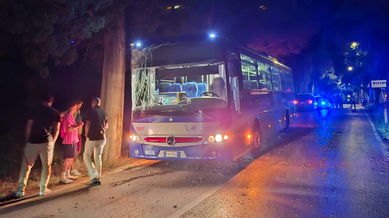 L'autobus che si è schiantato contro un albero all'ingresso di Mercatale L'autobus che si è schiantato contro un albero all'ingresso di Mercatale