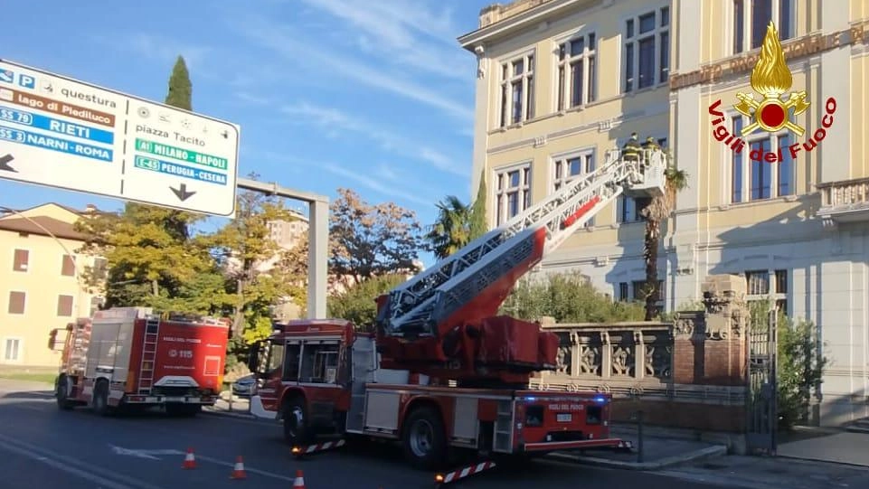 L’intervento dei vigili del fuoco ieri mattina all’Ipsia L’intervento dei vigili del fuoco ieri mattina all’Ipsia