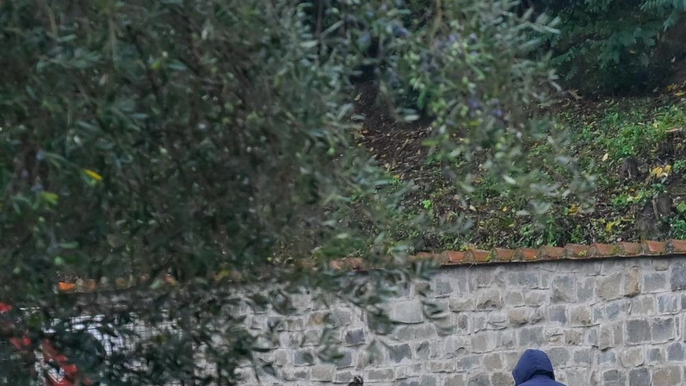 La strada è usata come scorciatoia per la Chiantigiana. Gli abitanti: "Il limite è 30 ma arrivano a 70" . La strada è usata come scorciatoia per la Chiantigiana. Gli abitanti: "Il limite è 30 ma arrivano a 70" .