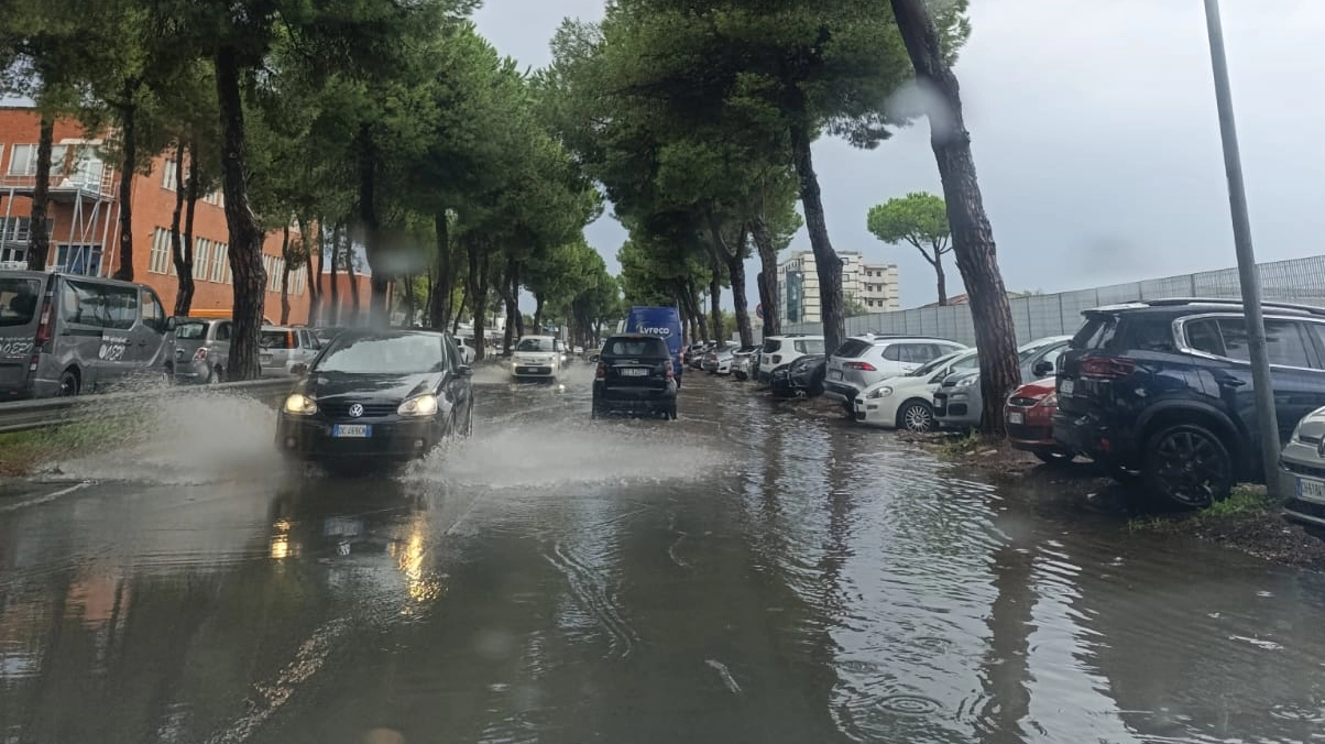 Maltempo a Massa Maltempo a Massa