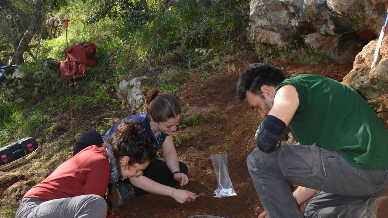 Il team di ArcheoVersilia durante gli scavi effettuati alla «Tana del lupo», nella zona di Valdicastello, grazie ai quali è stata fatta l’importante scoperta Il team di ArcheoVersilia durante gli scavi effettuati alla «Tana del lupo», nella zona di Valdicastello, grazie ai quali è stata fatta l’importante scoperta