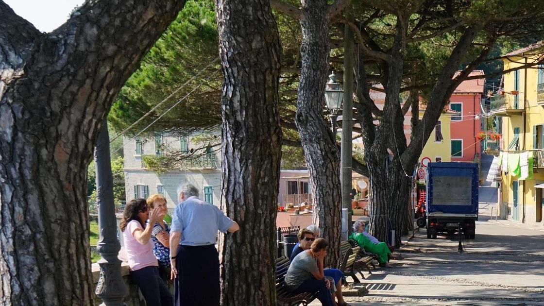Piazzetta di Campiglia: "Pavimentazione ko. Un pericolo per gli anziani" Piazzetta di Campiglia: "Pavimentazione ko. Un pericolo per gli anziani"