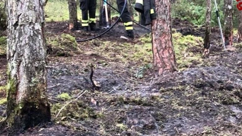 SANT’ANATOLIA DI NARCO – Sono in corso le operazioni di bonifica da parte delle squadre AgFor sul monte Coscerno (frazione...