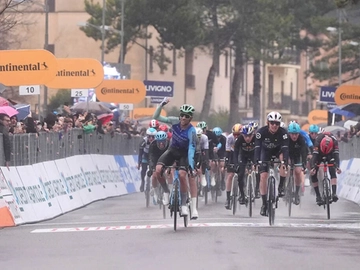 immagine articolo