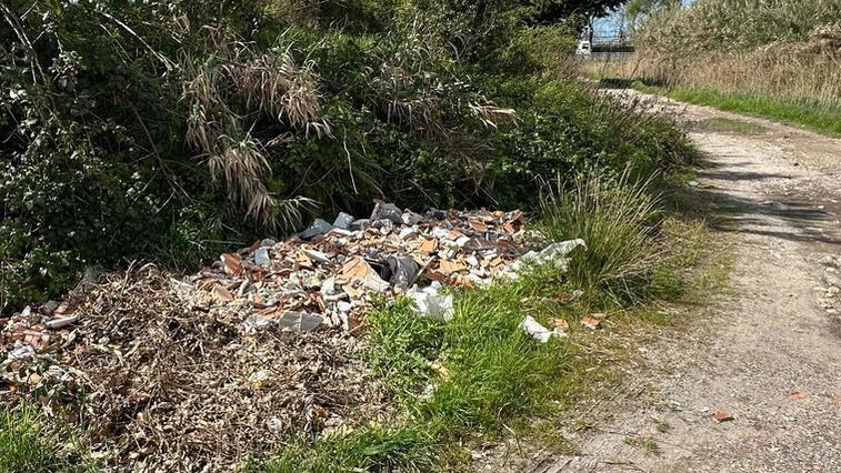 Il consigliere Pardini denuncia una discarica abusiva nel Parco e chiede interventi urgenti per la tutela ambientale.
