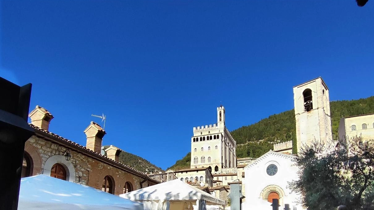 La Mostra del tartufo in corso per il secondo fine settimana nel centro storico di Gubbio La Mostra del tartufo in corso per il secondo fine settimana nel centro storico di Gubbio
