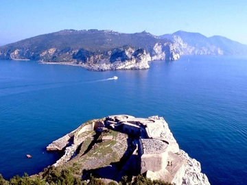 immagine articolo
