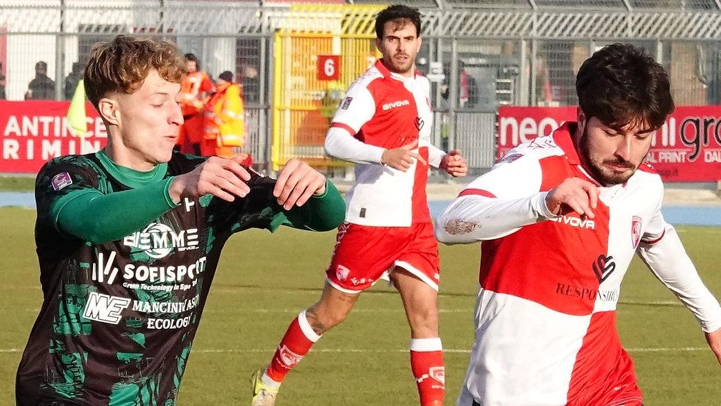 Menichini analizza la pesante sconfitta del Rimini, evidenziando errori e necessità di migliorare per il campionato. Menichini analizza la pesante sconfitta del Rimini, evidenziando errori e necessità di migliorare per il campionato.