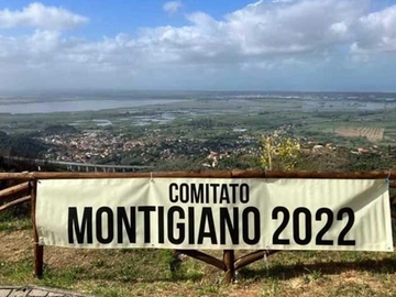 immagine articolo