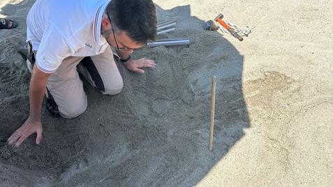 Versilia, 4 tartarughe marine trovate morte nel giro di tre giorni Versilia, 4 tartarughe marine trovate morte nel giro di tre giorni