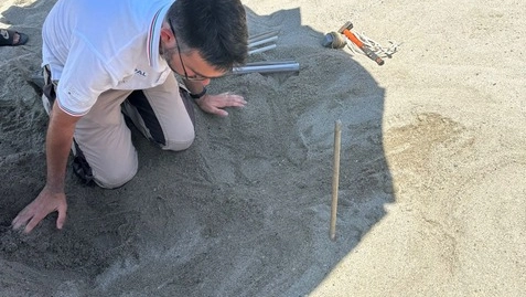 Monitoraggio dei nidi di tartarughe sulla spiaggia (Foto di repertorio)