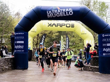 immagine articolo