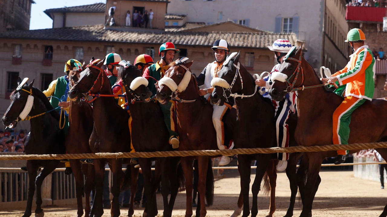 Palio, seconda prova: vince la Pantera. Oltre venti minuti per la mossa