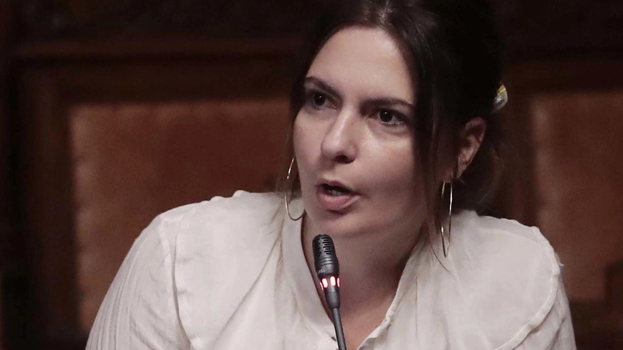 Giulia Mazzarelli, capogruppo Pd Giulia Mazzarelli, capogruppo Pd