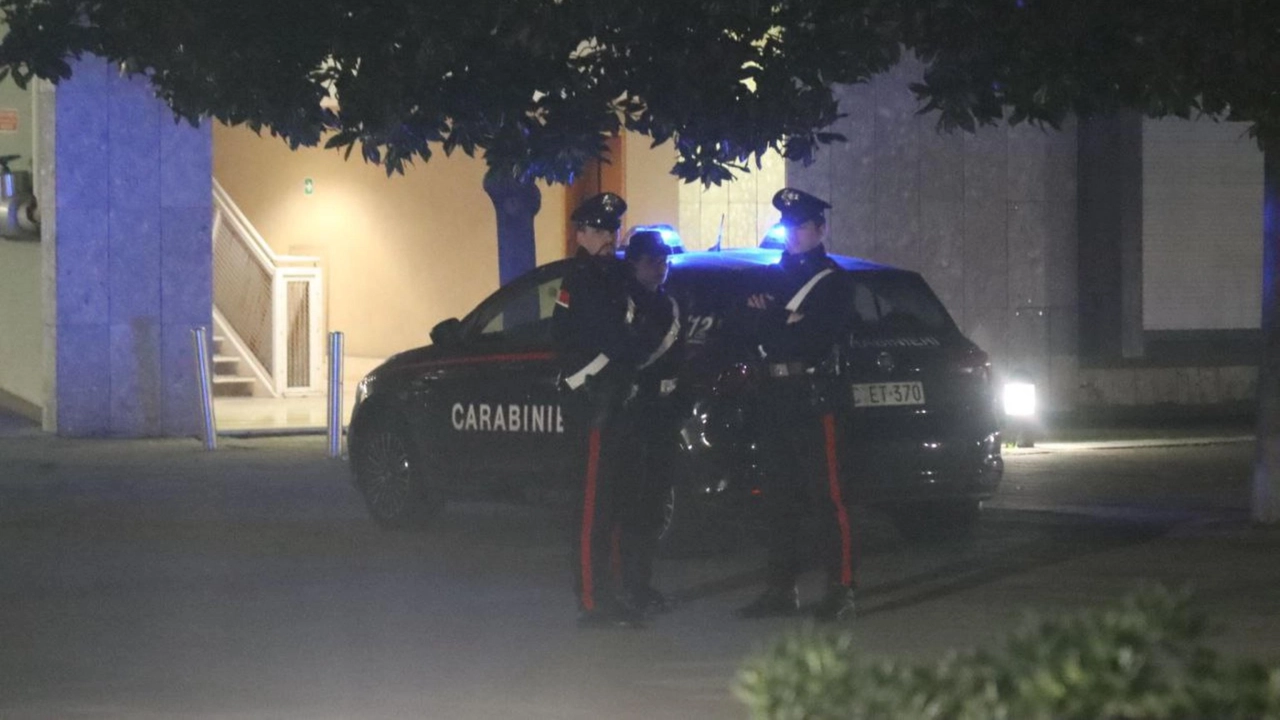 L'uomo ha anche aggredito i carabinieri (foto di repertorio Ansa)