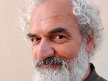 immagine articolo