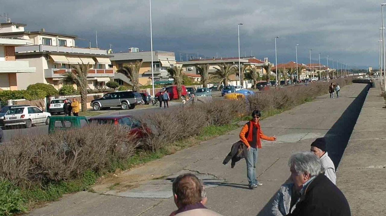 L’amministratore unico del Consorzio Zia Norberto Petriccioli è intervenuto in commissione Ambiente su progettazione e tempi. L’amministratore unico del Consorzio Zia Norberto Petriccioli è intervenuto in commissione Ambiente su progettazione e tempi.