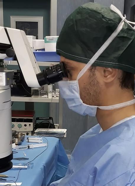 sos donazione di organi il servizio risulta sospeso appello per riattivarlo