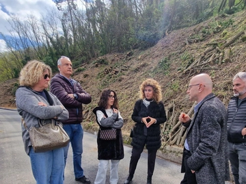 immagine articolo