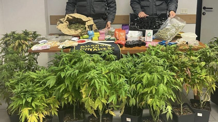 La compagnia della guardia di Finanza di Empoli ha stroncato il. giro