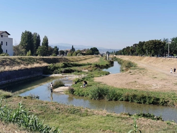 immagine articolo