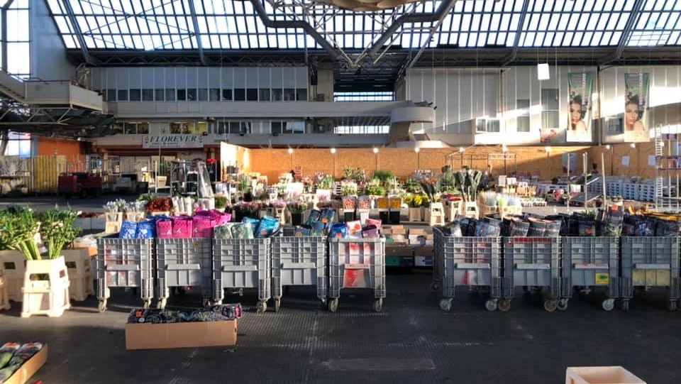 Il mercato dei fiori e delle piante della Toscana è pronto per la modernizzazione Il mercato dei fiori e delle piante della Toscana è pronto per la modernizzazione