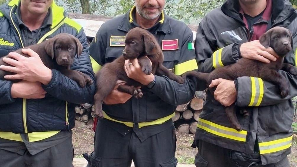 Gli operatori in soccorso agli sfollati dell’Emilia-Romagna Gli operatori in soccorso agli sfollati dell’Emilia-Romagna