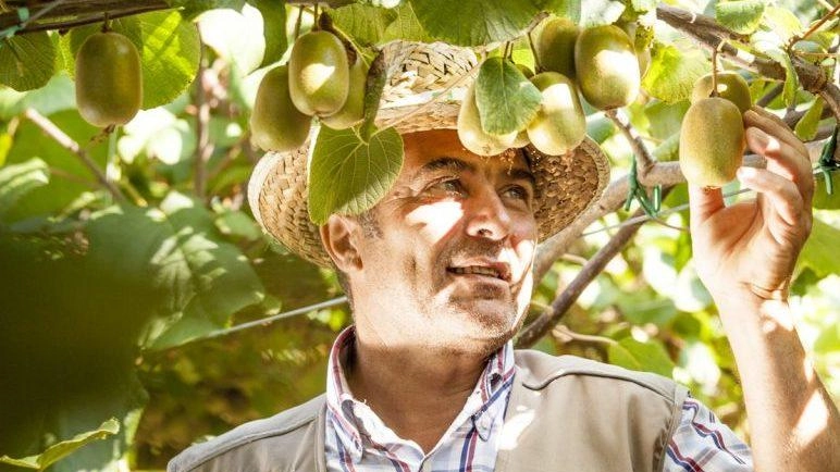 Prodotti che potevano scomparire e che invece rimarranno sulle tavole e sui banchi dei mercati. Saccardi: "ll loro recupero permetterà di studiare la migliore resilienza ai cambiamenti climatici" . . Prodotti che potevano scomparire e che invece rimarranno sulle tavole e sui banchi dei mercati. Saccardi: "ll loro recupero permetterà di studiare la migliore resilienza ai cambiamenti climatici" . .