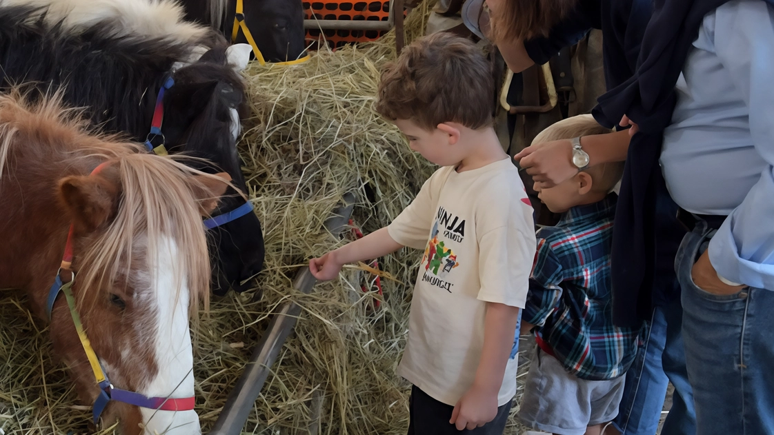La 15esima edizione della "Mostra del Bestiame" anima Ginestra Fiorentina con varie attività, dalla fiera del bestiame al mercatino di prodotti locali e spettacoli equestri. Un evento organizzato da "Un Paese Ritrovato" con il patrocinio del Comune di Lastra a Signa. La 15esima edizione della "Mostra del Bestiame" anima Ginestra Fiorentina con varie attività, dalla fiera del bestiame al mercatino di prodotti locali e spettacoli equestri. Un evento organizzato da "Un Paese Ritrovato" con il patrocinio del Comune di Lastra a Signa.