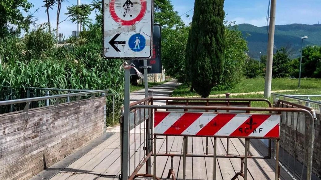 Il consigliere di Iv Toccafondi presenta un’interrogazione "Tratti invasi dalle piante". Il consigliere di Iv Toccafondi presenta un’interrogazione "Tratti invasi dalle piante".