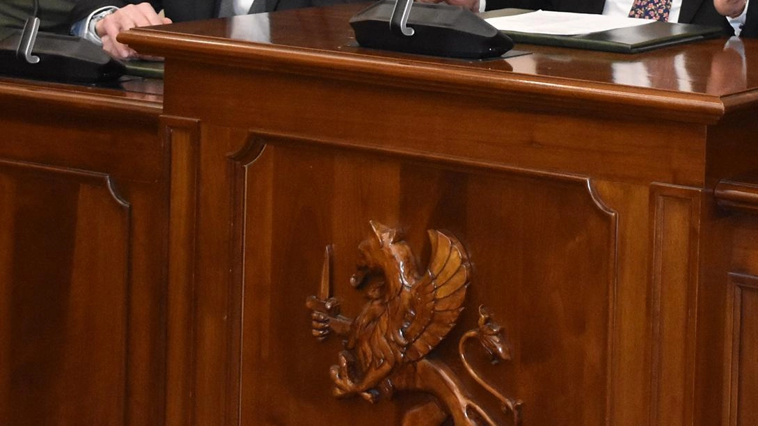 Un momento della presentazione del progetto di Capwatt (foto Aprili)