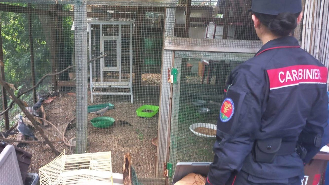 Un momento del sopralluogo effettuato dai carabinieri forestali durante il controllo dell’area verde lungo il fiume