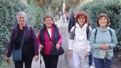 Nel programma del 2025 passeggiate facili per tutti o impegnative per chi è esperto camminatore Nel programma del 2025 passeggiate facili per tutti o impegnative per chi è esperto camminatore