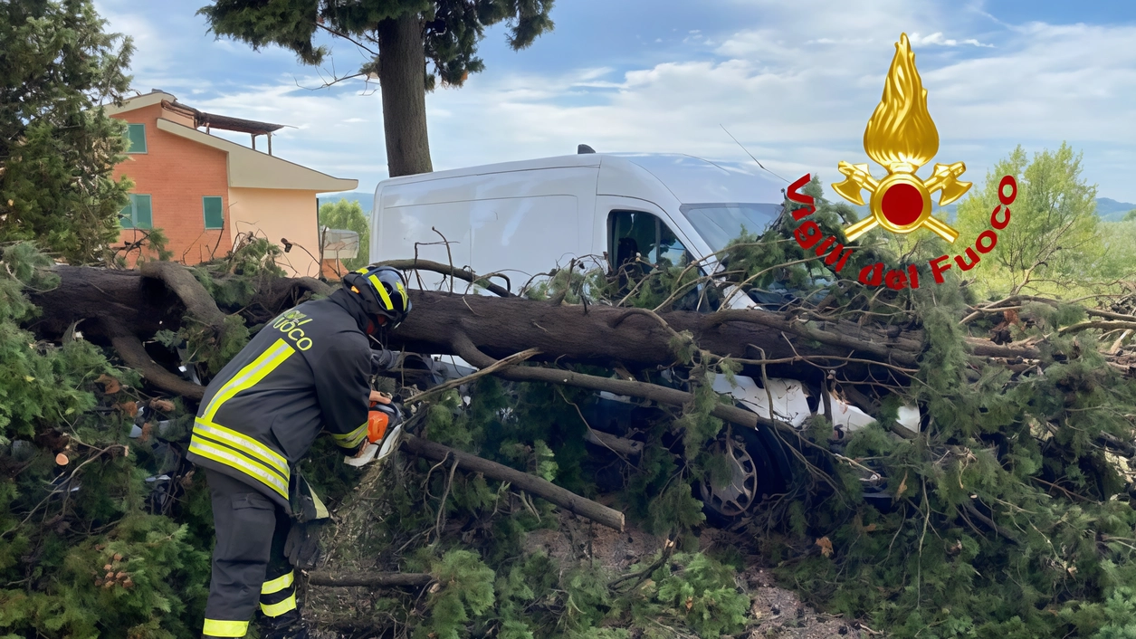 L’albero caduto su mezzi in sosta in via Oreste Montanelli a Fontanella, per fortuna senza persone ferite L’albero caduto su mezzi in sosta in via Oreste Montanelli a Fontanella, per fortuna senza persone ferite