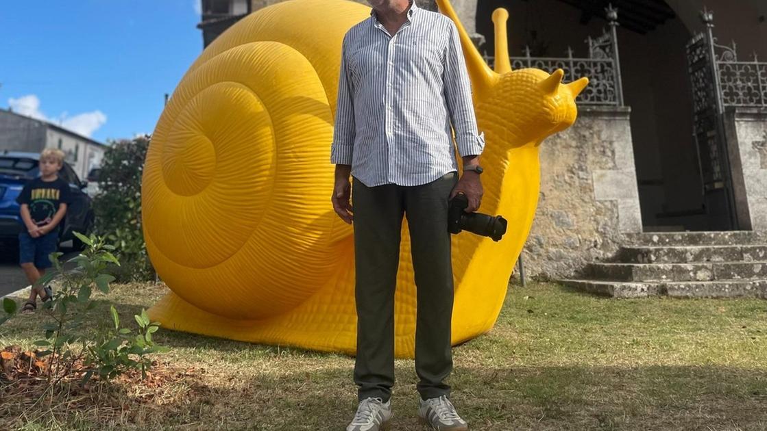 quando la plastica diventa bellezza cracking art colora semproniano un inno alla rigenerazione