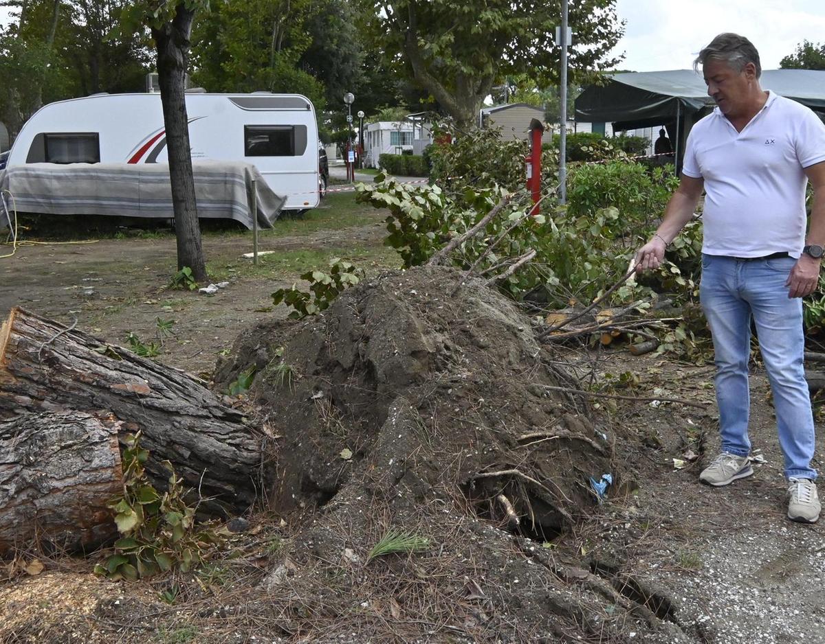 notte di paura al campeggio cadono piante roulotte sfiorate il litorale messo in ginocchio