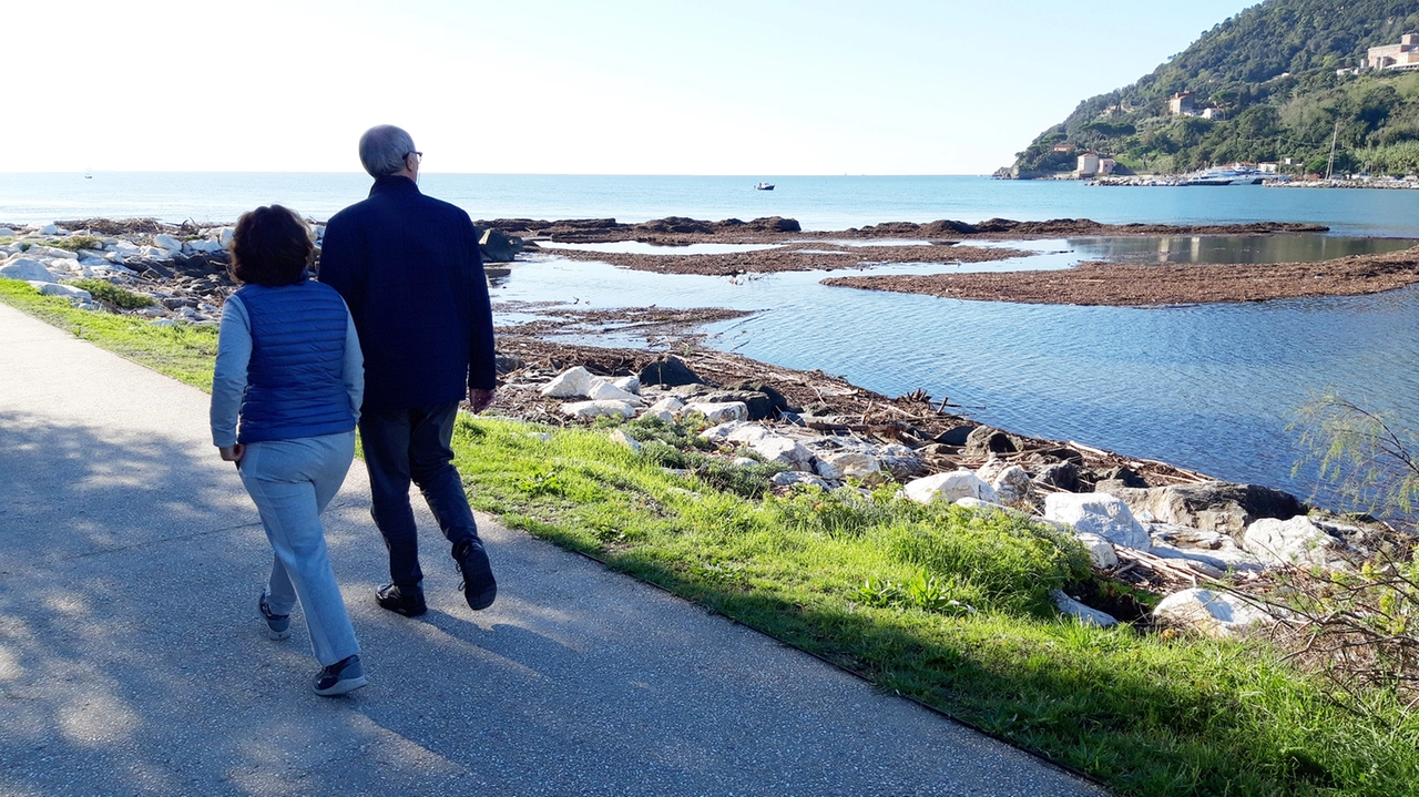 Alla foce del fiume Magra si è formato un isolotto di sabbia e sterpaglie Alla foce del fiume Magra si è formato un isolotto di sabbia e sterpaglie