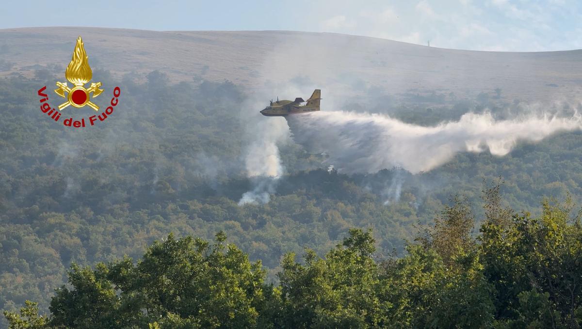 bosco in fiamme aerei in azione per fermare il rogo innescato da un fulmine