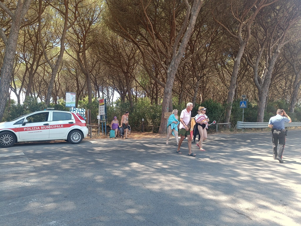 immagine di sfondo 6