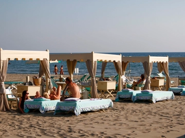 immagine articolo