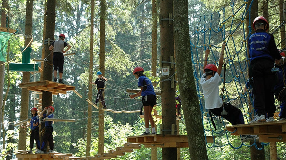 Un parco avventura sospeso tra gli alberi (foto di repertorio) Un parco avventura sospeso tra gli alberi (foto di repertorio)