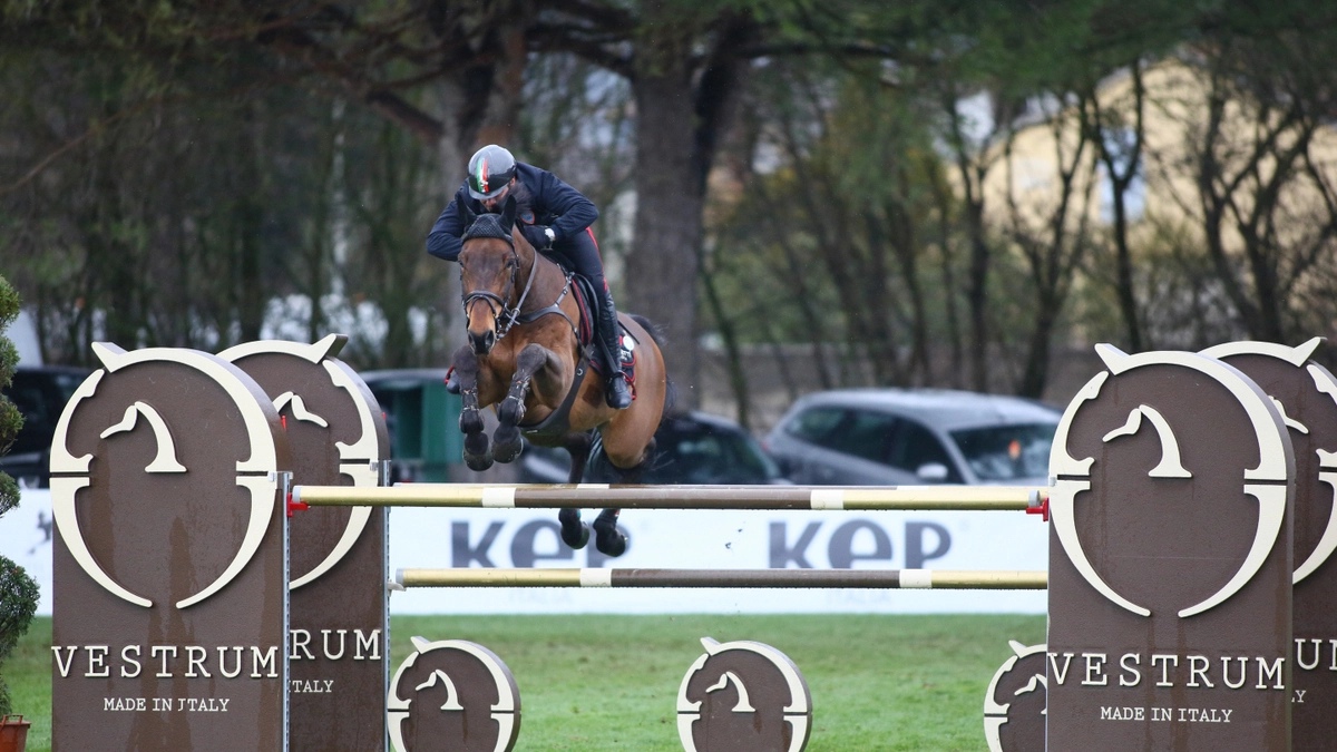 equestrian equestrian