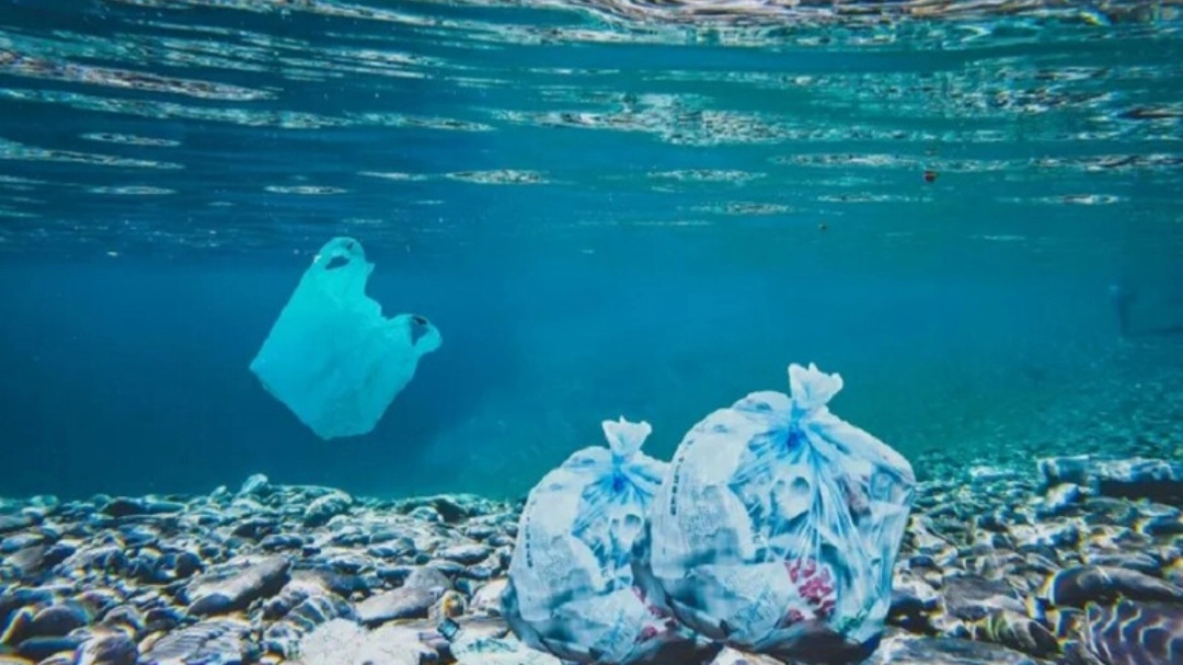 Plastica nei fondali (foto Ansa) Plastica nei fondali (foto Ansa)