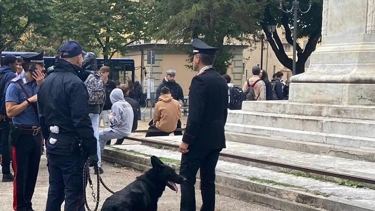 Anche l’unità cinofila impegnata nei controlli Anche l’unità cinofila impegnata nei controlli
