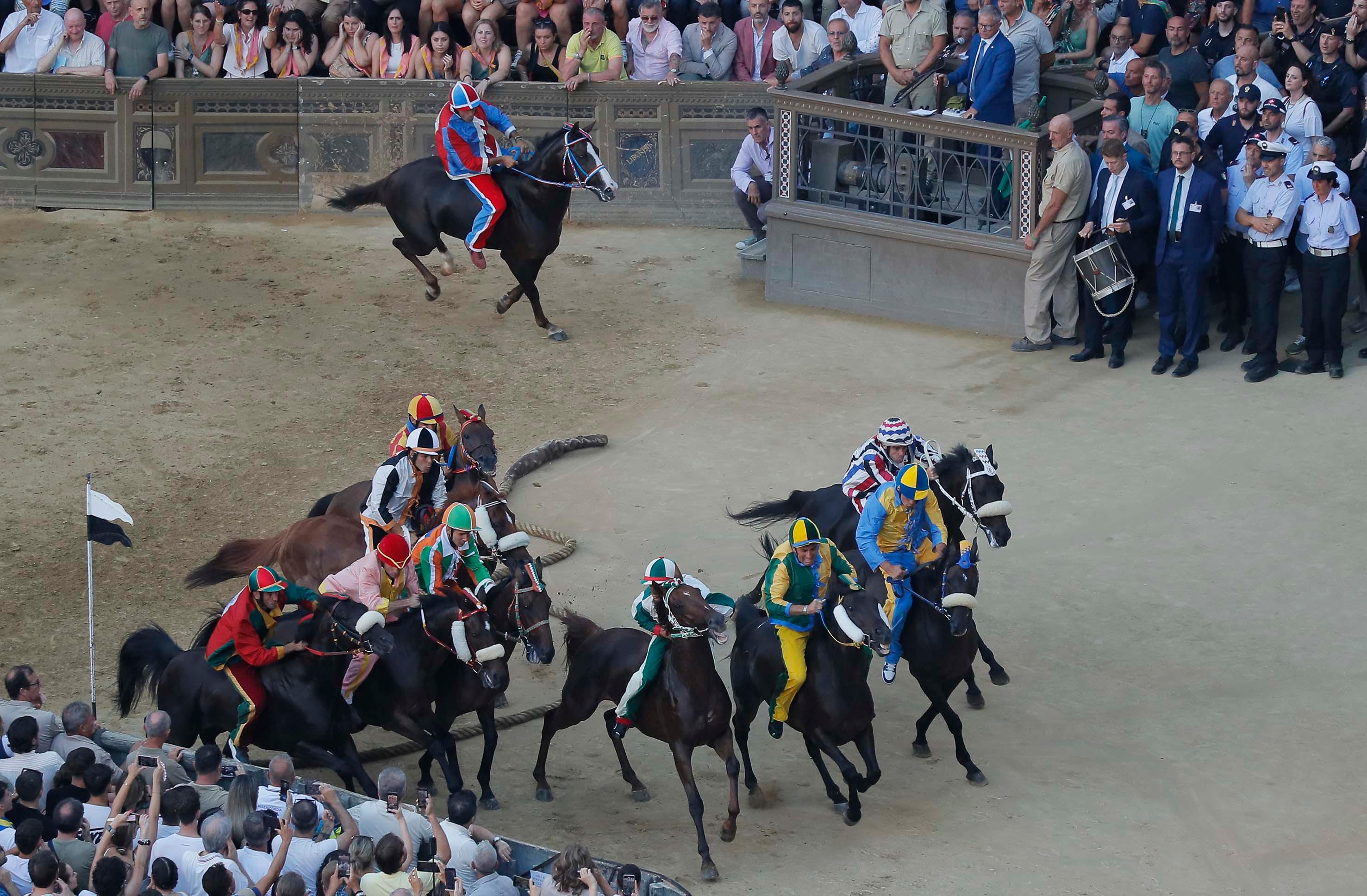 Palio, la prova generale va alla Tartuca con Zio Frac e Brigante Palio, la prova generale va alla Tartuca con Zio Frac e Brigante