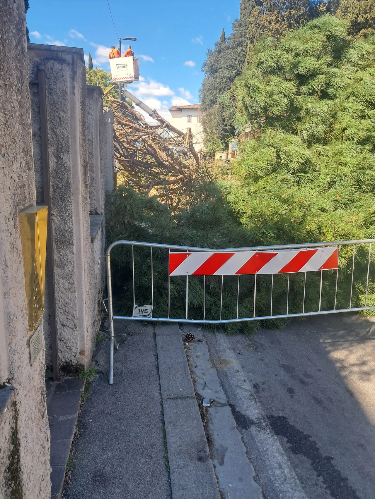 immagine di sfondo 2