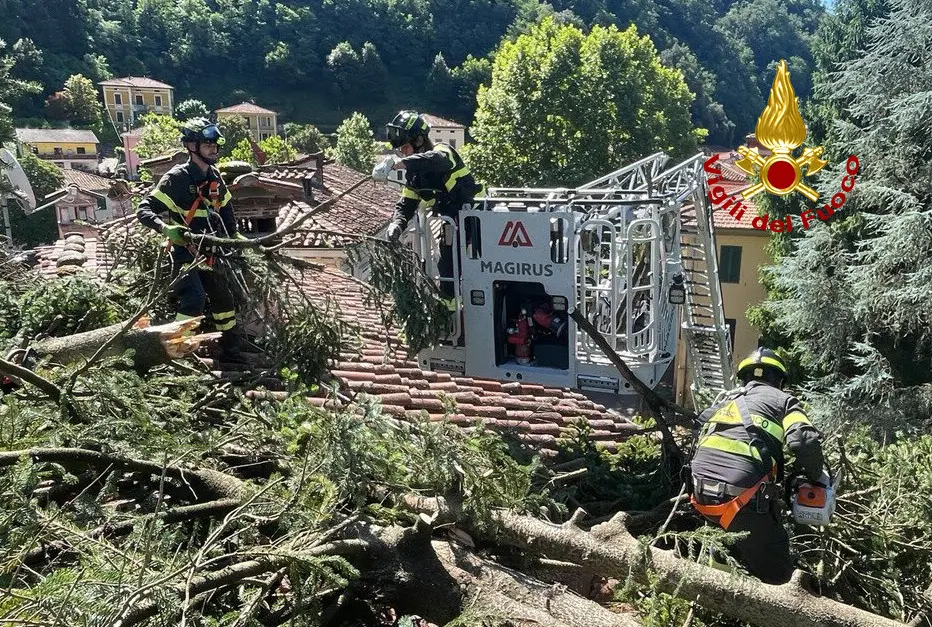 Ancora maltempo: il forte vento fa cadere vari alberi nella zona di Bagni di Lucca
