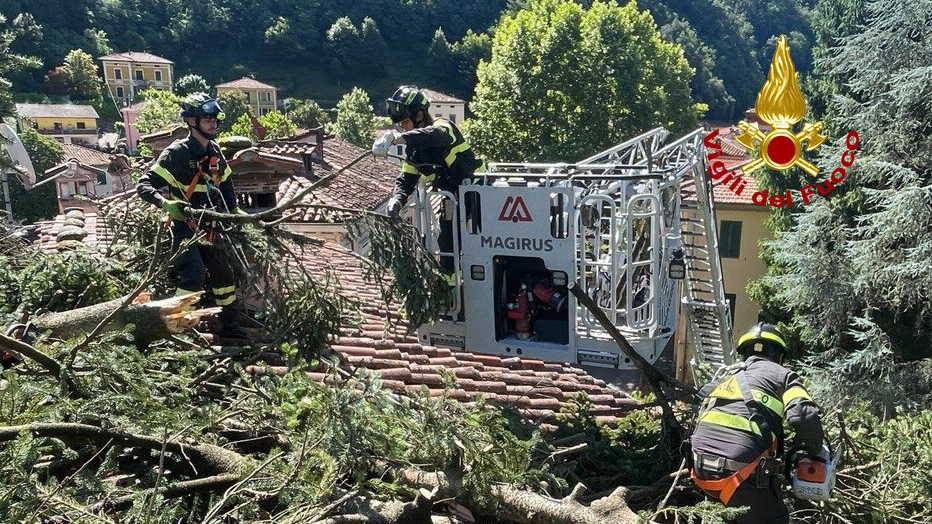 L'intervento dei vigili del fuoco a Bagni di Lucca per la rimozione della grossa pianta che si è adagiata su un tetto